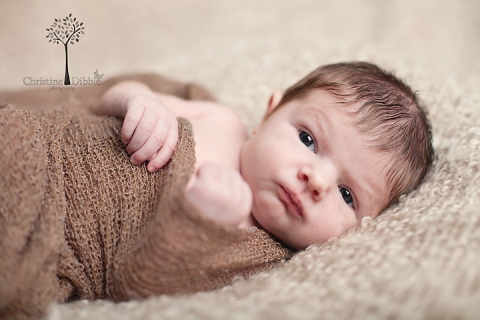 newborn baby wide awake