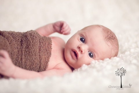 Christine Dibble Photography newborn portraits