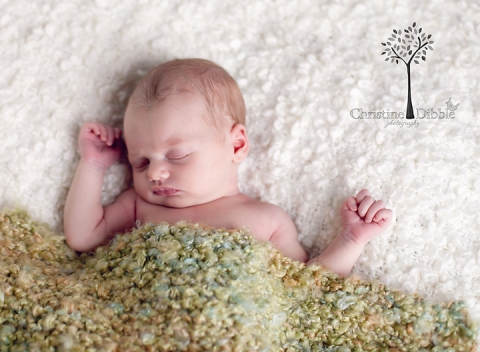 newborn photo session