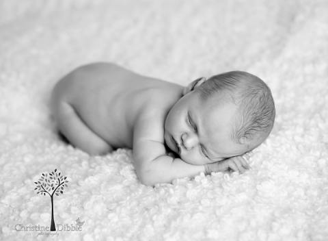 Newborn photography