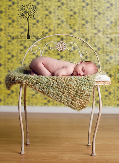 newborn photo session, Sonora