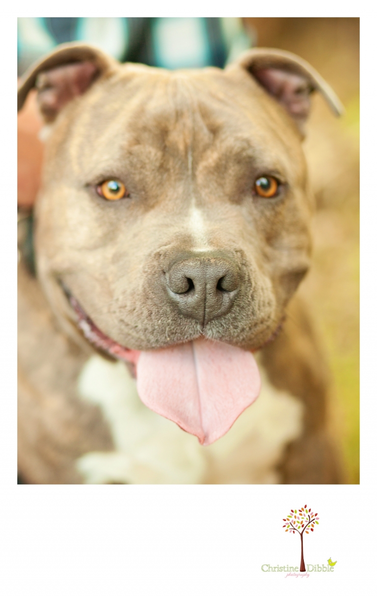 Sonora, CA Children's Portraits_0098.jpg