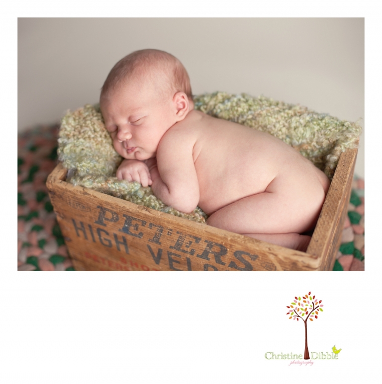 Sonora, CA Newborn Portraits_0289.jpg