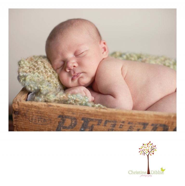 Sonora, CA Newborn Portraits_0290.jpg