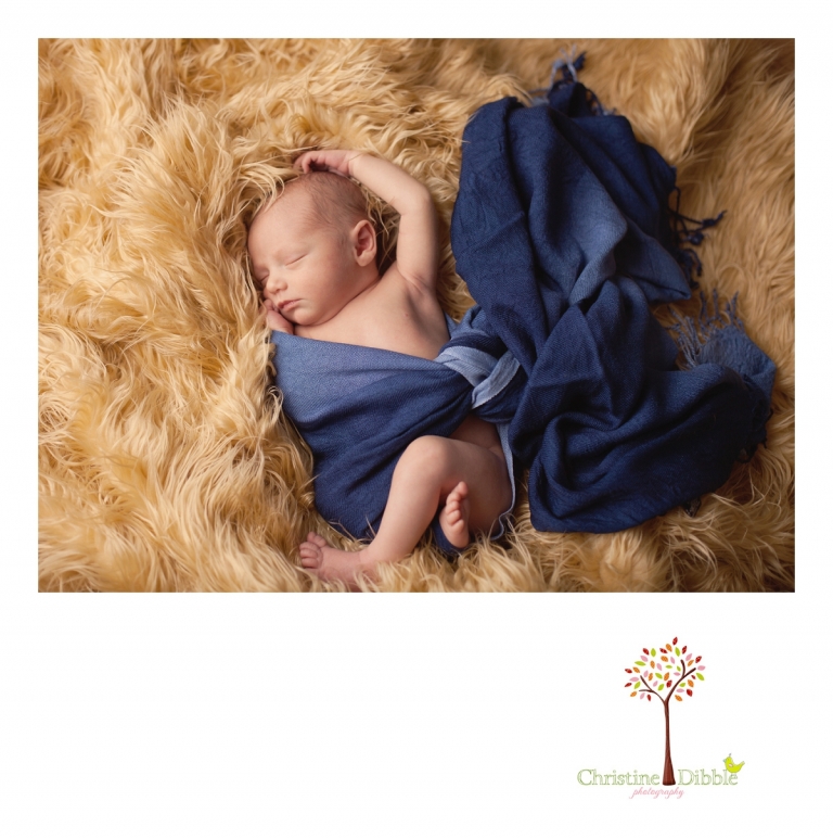 Sonora, CA Newborn Photography