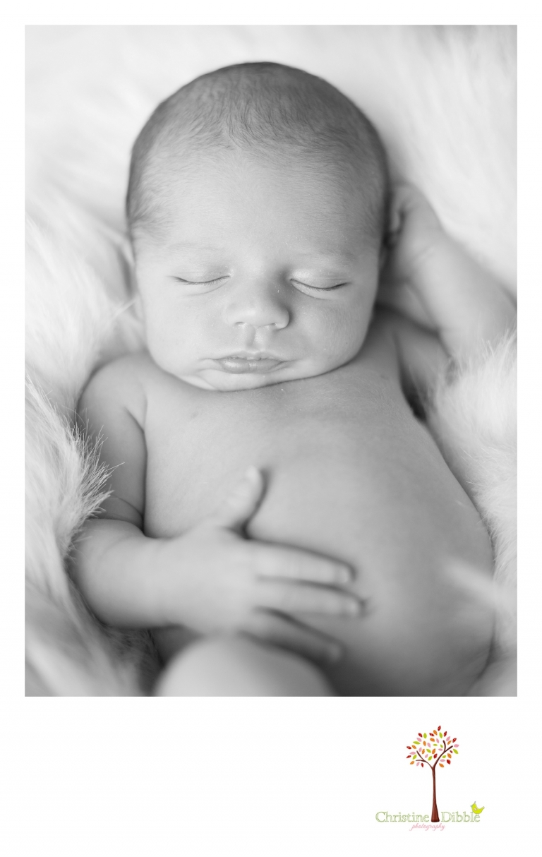 Sonora, CA Custom Portrait Photographer_0563.jpg