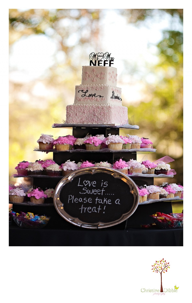 Sonora, CA Wedding Photographer Christine Dibble Photography