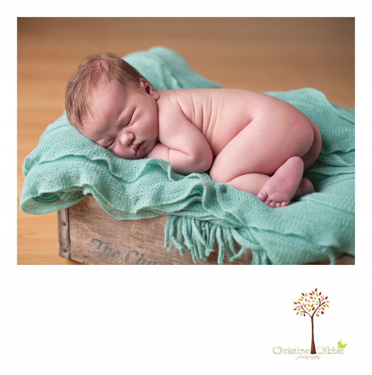 Sonora, CA Custom Portrait Photographer Christine Dibble Photography_0110.jpg