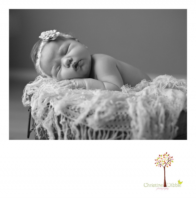 Sonora, CA Custom Portrait Photographer Christine Dibble Photography_0111.jpg