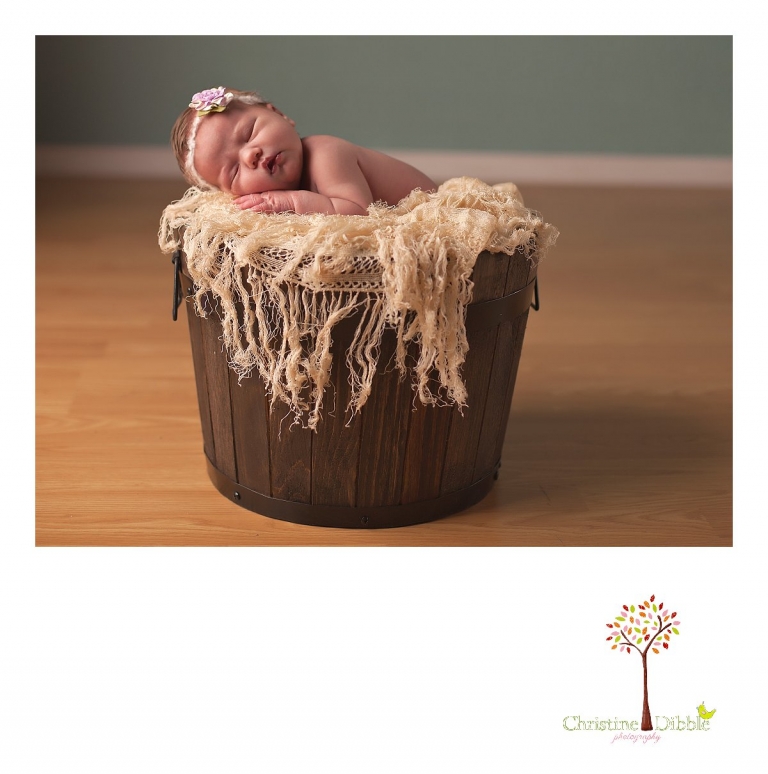 Sonora, CA Custom Portrait Photographer Christine Dibble Photography_0112.jpg