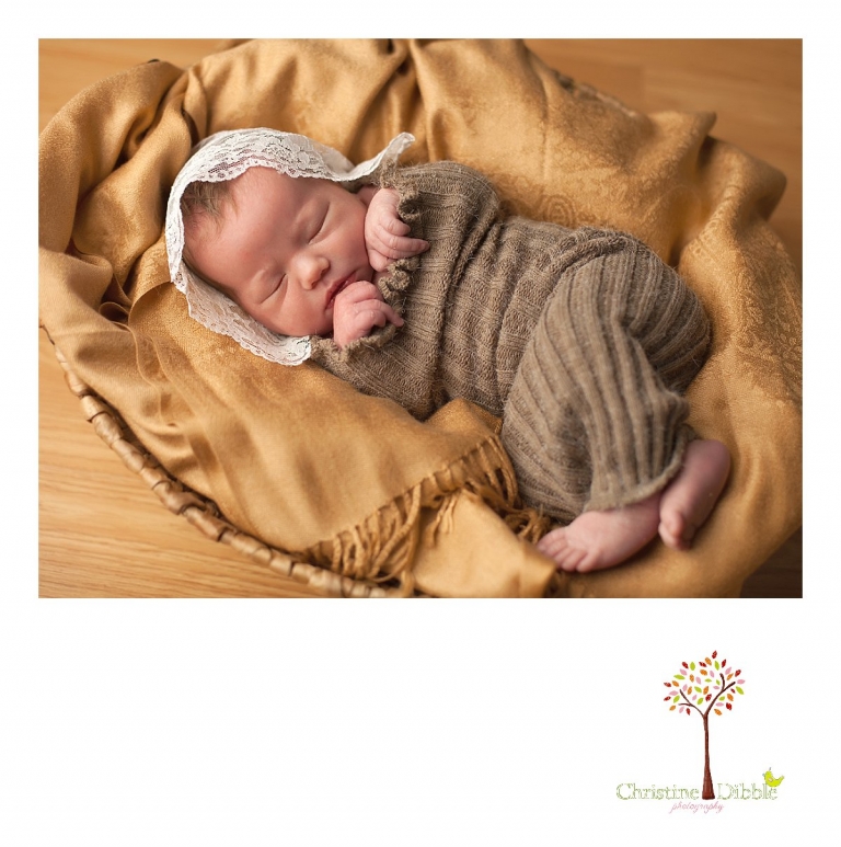 Sonora, CA Custom Portrait Photographer Christine Dibble Photography_0114.jpg