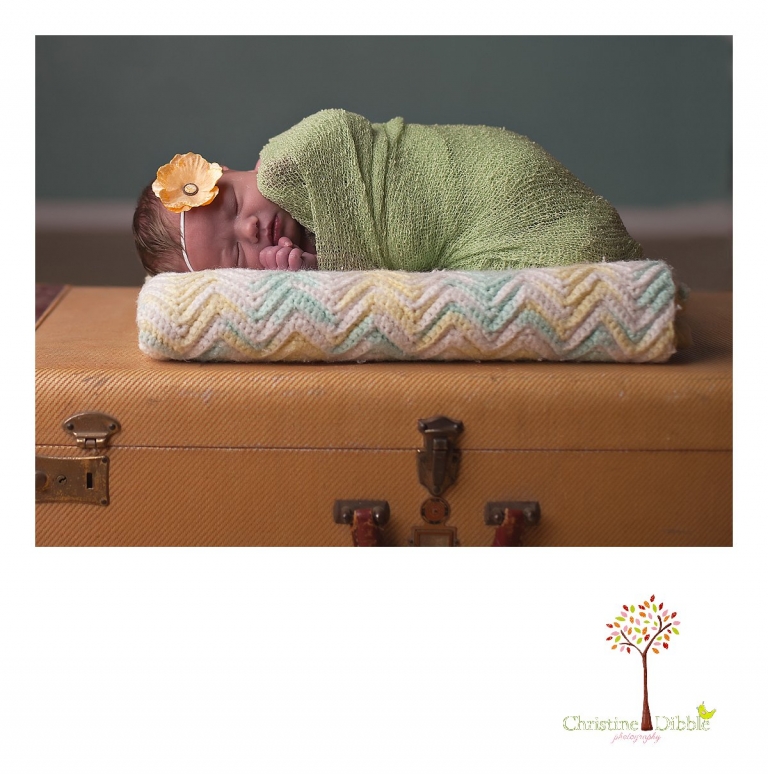 Sonora, CA Custom Portrait Photographer Christine Dibble Photography_0115.jpg