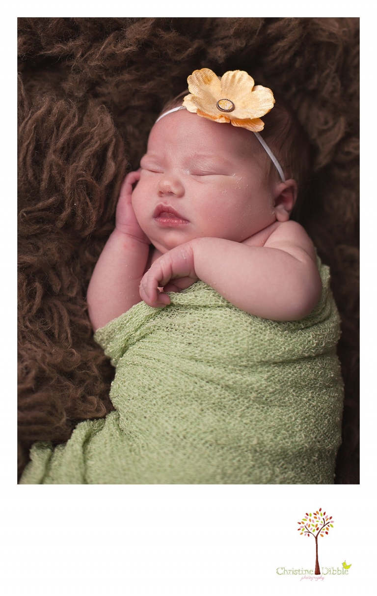 Sonora, CA Custom Portrait Photographer Christine Dibble Photography_0116.jpg