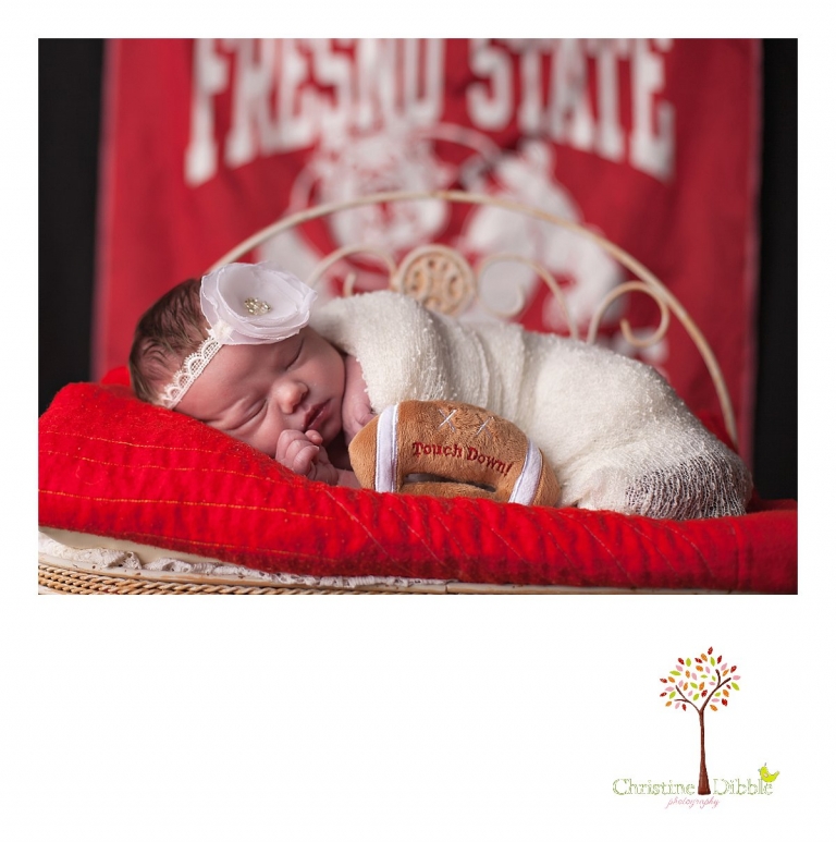 Sonora, CA Custom Portrait Photographer Christine Dibble Photography_0117.jpg