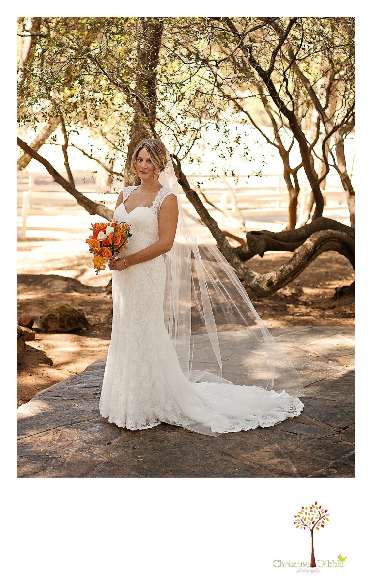 Sonora, CA Custom Portrait Photographer Christine Dibble Photography_0126.jpg