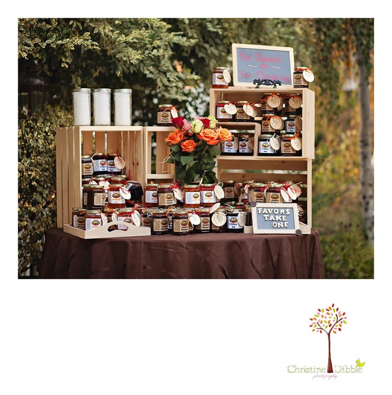 Sonora, CA Custom Portrait Photographer Christine Dibble Photography_0134.jpg