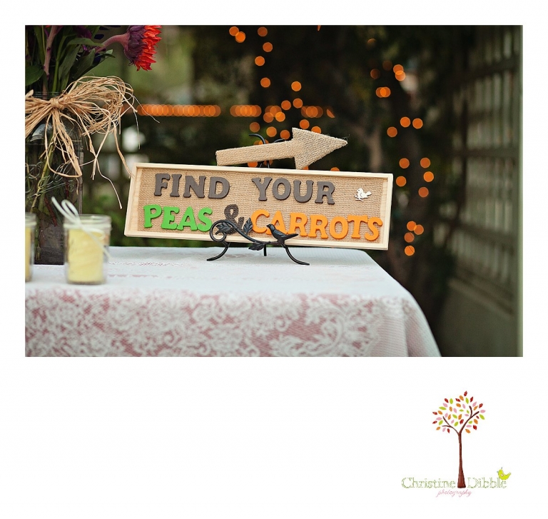 Sonora, CA Custom Portrait Photographer Christine Dibble Photography_0135.jpg