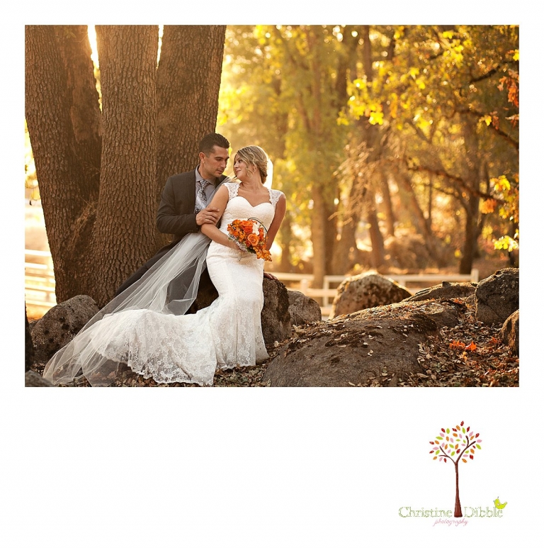 Sonora, CA Custom Portrait Photographer Christine Dibble Photography_0137.jpg