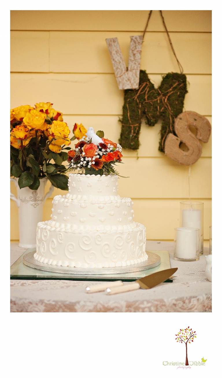 Sonora, CA Custom Portrait Photographer Christine Dibble Photography_0140.jpg