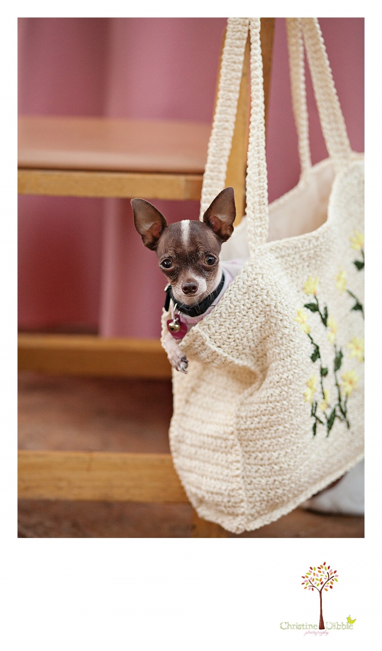 Sonora, CA Custom Portrait Photographer Christine Dibble Photography_0141.jpg