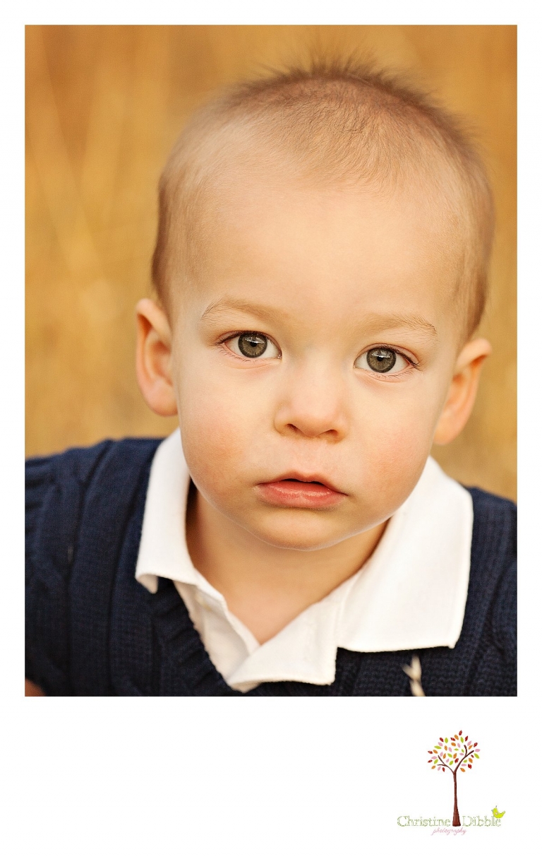 Sonora, CA Custom Portrait Photographer Christine Dibble Photography_0159.jpg