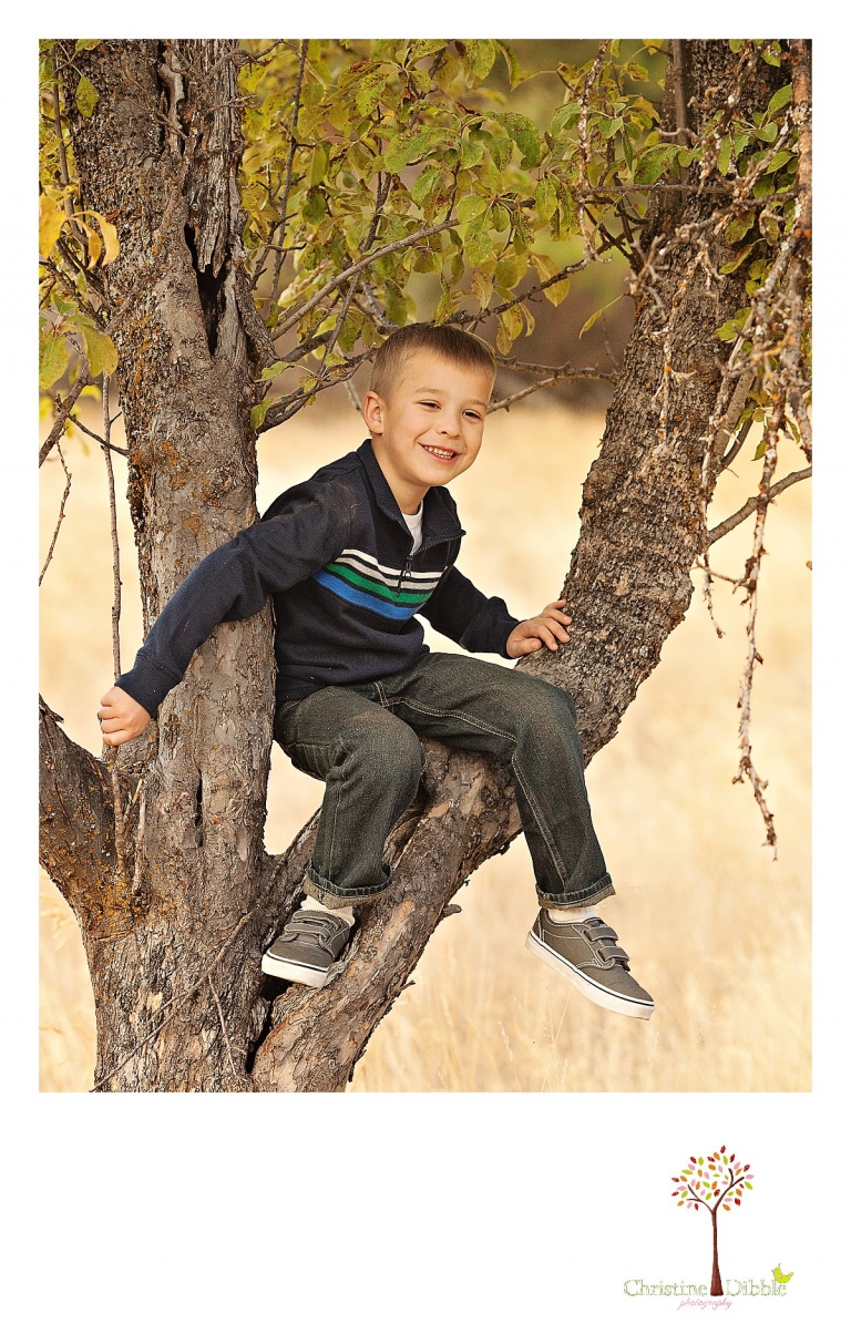 Sonora, CA Custom Portrait Photographer Christine Dibble Photography_0161.jpg