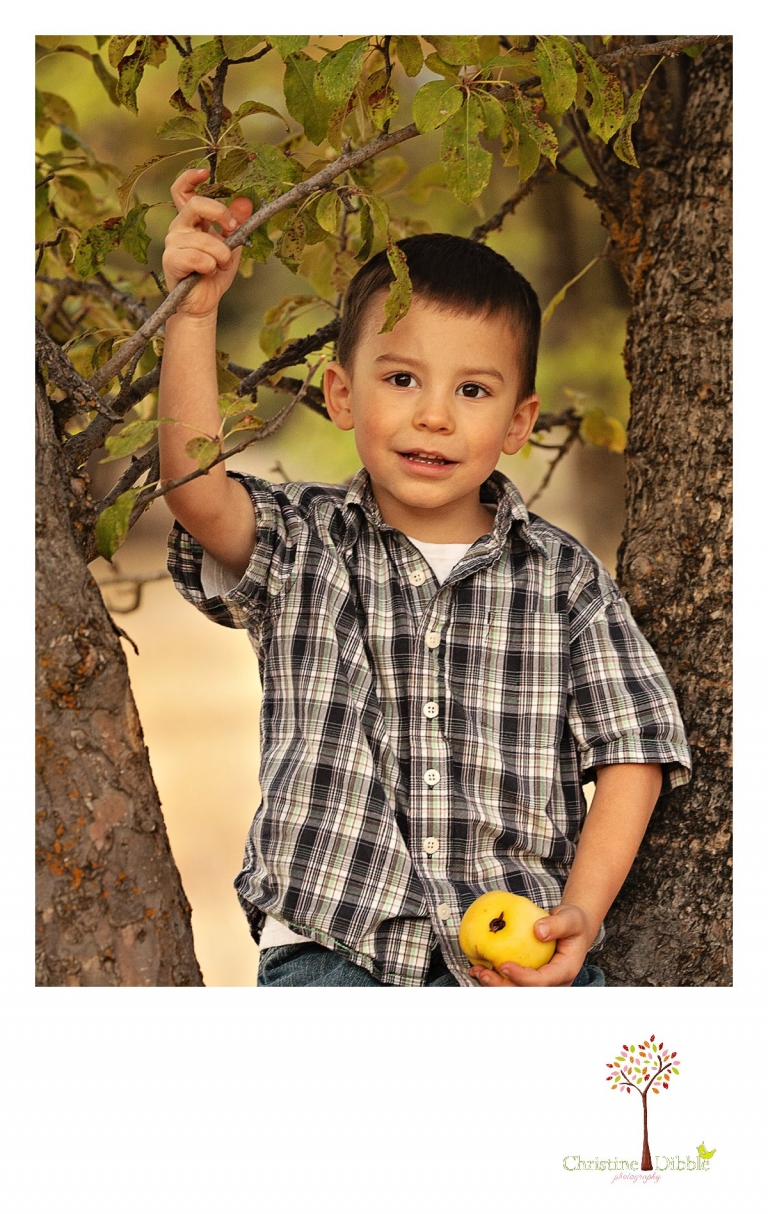 Sonora, CA Custom Portrait Photographer Christine Dibble Photography_0162.jpg