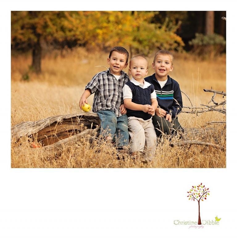 Sonora, CA Custom Portrait Photographer Christine Dibble Photography_0164.jpg