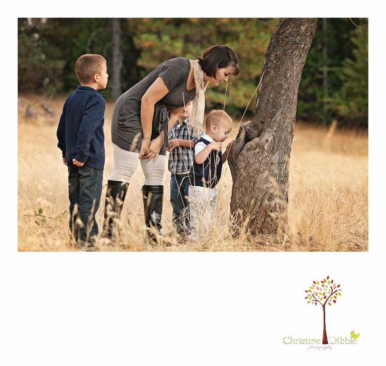Sonora, CA Custom Portrait Photographer Christine Dibble Photography_0166.jpg