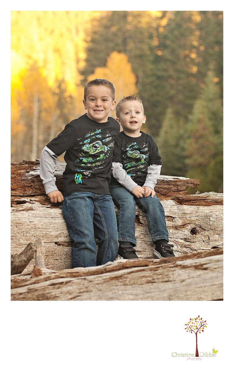 Sonora, CA Custom Portrait Photographer Christine Dibble Photography_0174.jpg