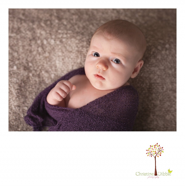 Sonora, CA Custom Portrait Photographer Christine Dibble Photography_0183.jpg