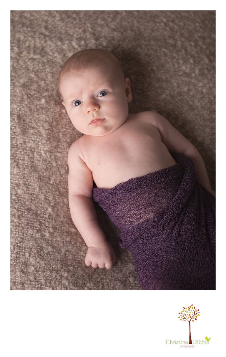 Sonora, CA Custom Portrait Photographer Christine Dibble Photography_0184.jpg