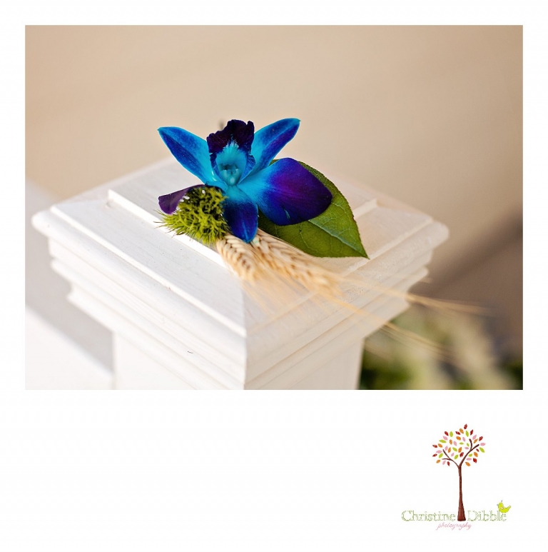 Sonora, CA Custom Portrait Photographer Christine Dibble Photography_0250.jpg