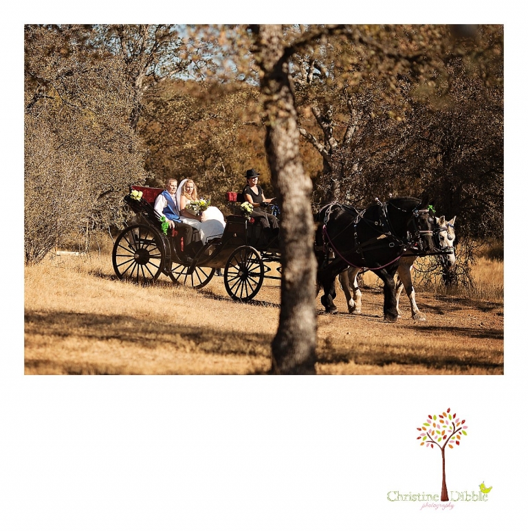 Sonora, CA Custom Portrait Photographer Christine Dibble Photography_0262.jpg