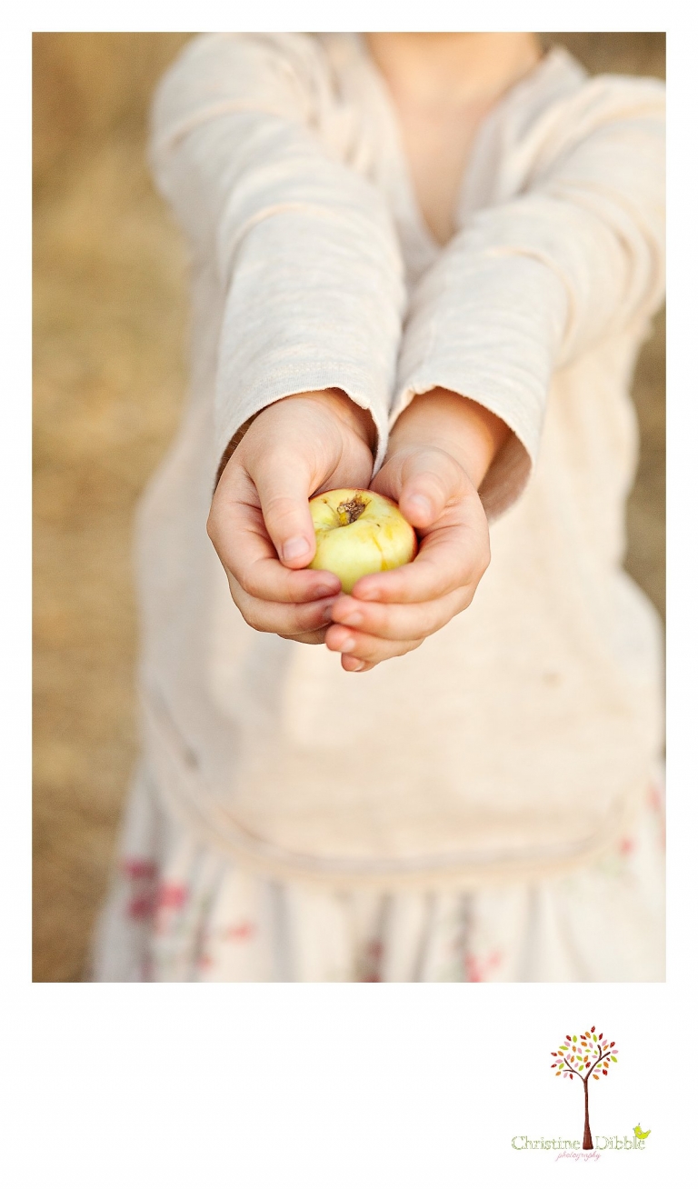 Sonora, CA Custom Portrait Photographer Christine Dibble Photography_0290.jpg