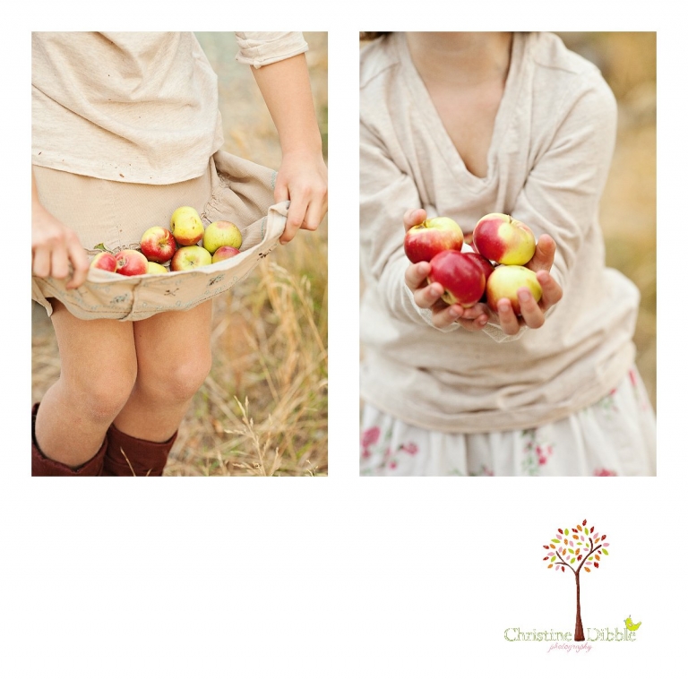 Sonora, CA Custom Portrait Photographer Christine Dibble Photography_0291.jpg