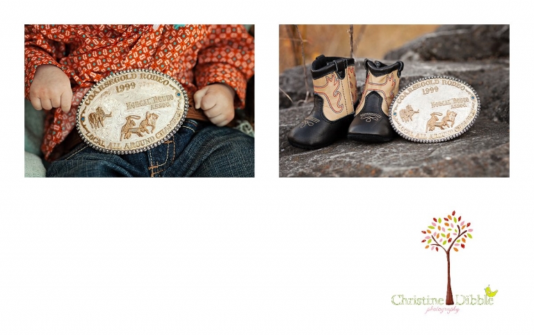 Sonora, CA Custom Portrait Photographer Christine Dibble Photography_0300.jpg