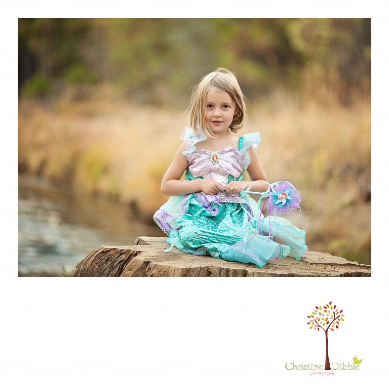 Sonora, CA Custom Portrait Photographer Christine Dibble Photography_0338.jpg