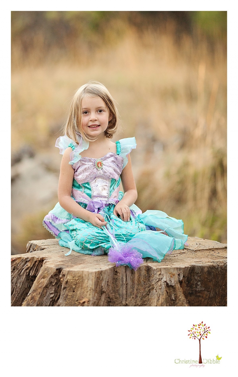 Sonora, CA Custom Portrait Photographer Christine Dibble Photography_0339.jpg