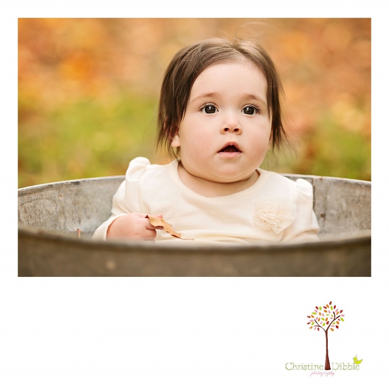 Sonora, CA Custom Portrait Photographer Christine Dibble Photography_0398.jpg