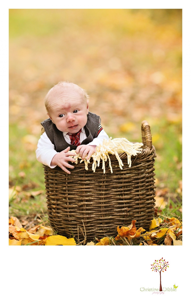 Sonora, CA Custom Portrait Photographer Christine Dibble Photography_0399.jpg