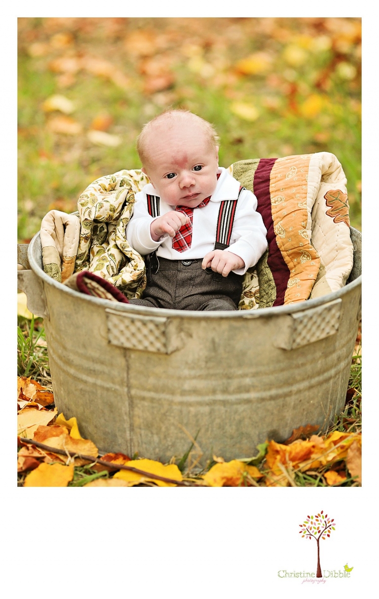 Sonora, CA Custom Portrait Photographer Christine Dibble Photography_0400.jpg