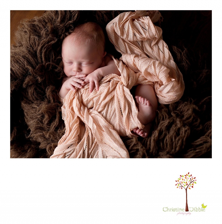 Sonora, CA Custom Portrait Photographer Christine Dibble Photography_0444.jpg