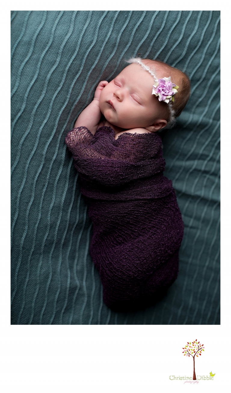 Sonora, CA Custom Portrait Photographer Christine Dibble Photography_0447.jpg