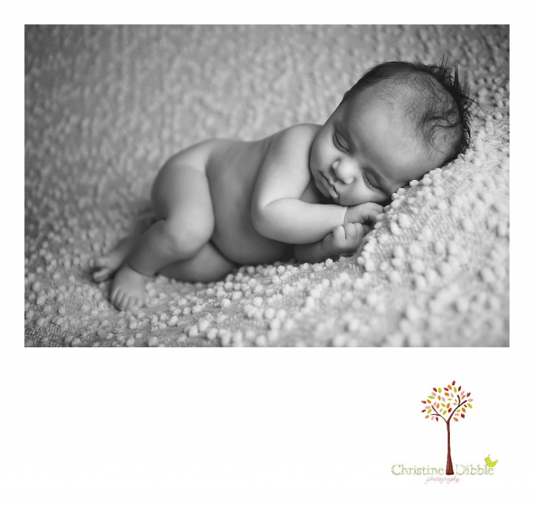 Sonora, CA Custom Portrait Photographer Christine Dibble Photography_0559.jpg