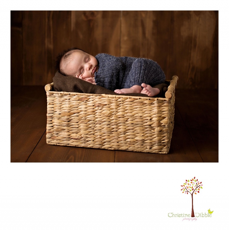 Sonora, CA Custom Portrait Photographer Christine Dibble Photography_0563.jpg