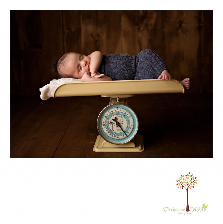 Sonora, CA Custom Portrait Photographer Christine Dibble Photography_0564.jpg