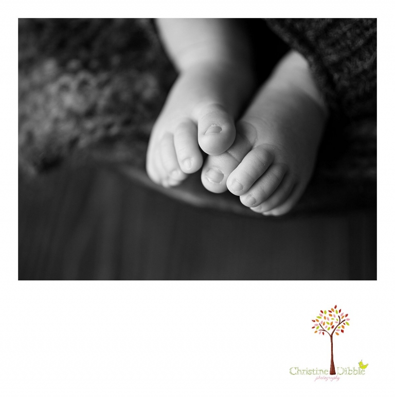 Sonora, CA Custom Portrait Photographer Christine Dibble Photography_0567.jpg