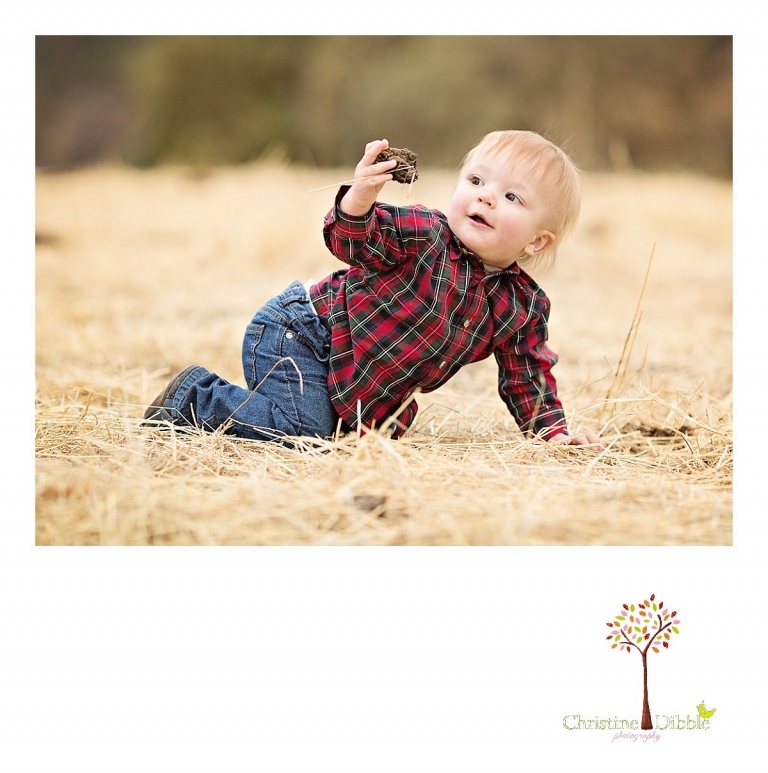 Sonora, CA Custom Portrait Photographer Christine Dibble Photography_0590.jpg