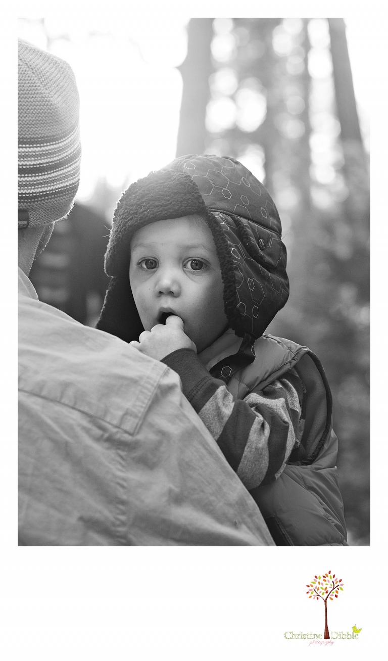 Sonora, CA Custom Portrait Photographer Christine Dibble Photography_0634.jpg